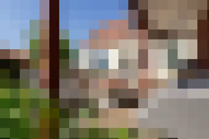 Rijksweg 2 Ten Post thumbnail 4