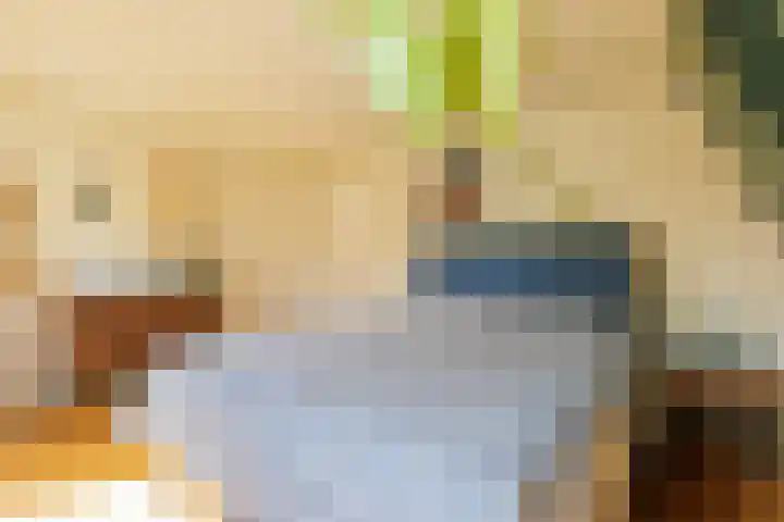 Rijksweg 2 Ten Post thumbnail 49