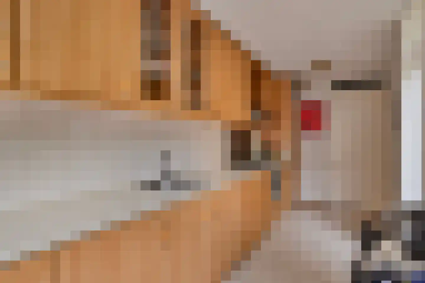 Rijksweg 2 Ten Post thumbnail 52