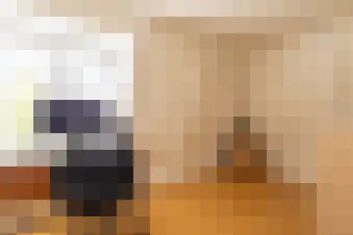 Rijksweg 2 Ten Post thumbnail 59