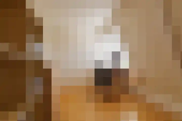 Rijksweg 2 Ten Post thumbnail 61