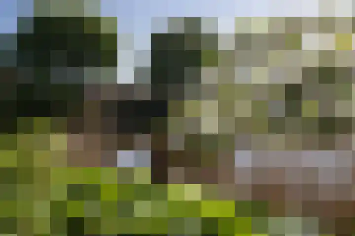 Rijksweg 2 Ten Post thumbnail 7