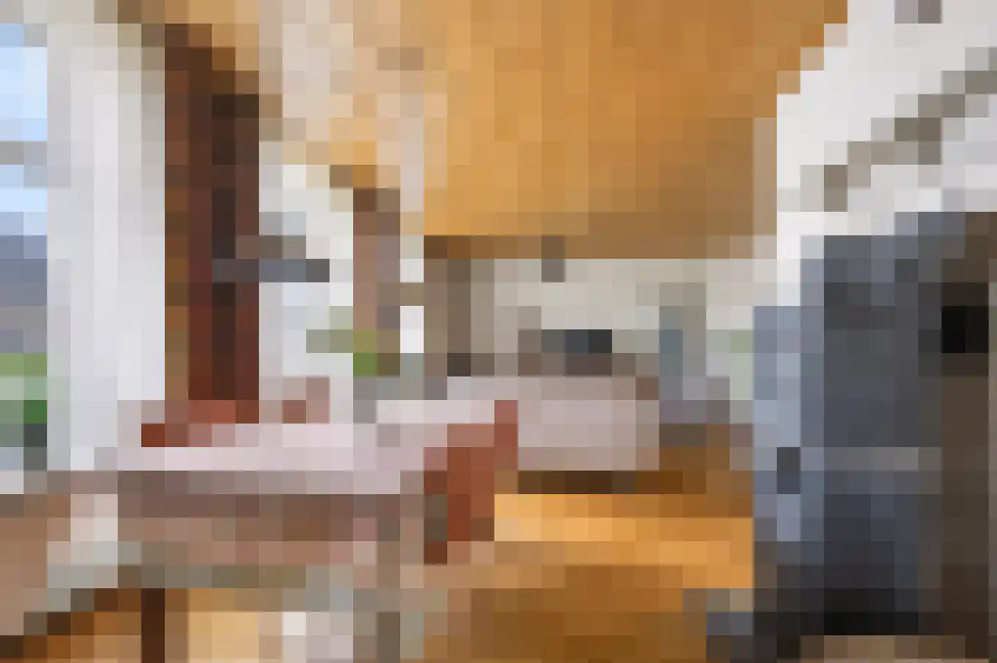 Rijksweg 20 Bergen L thumbnail 13