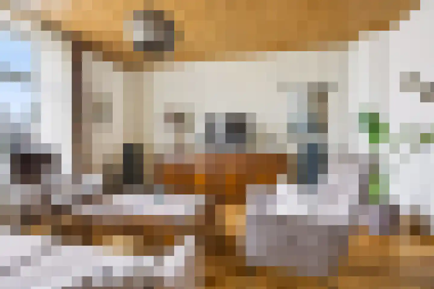 Rijksweg 20 Bergen L thumbnail 14