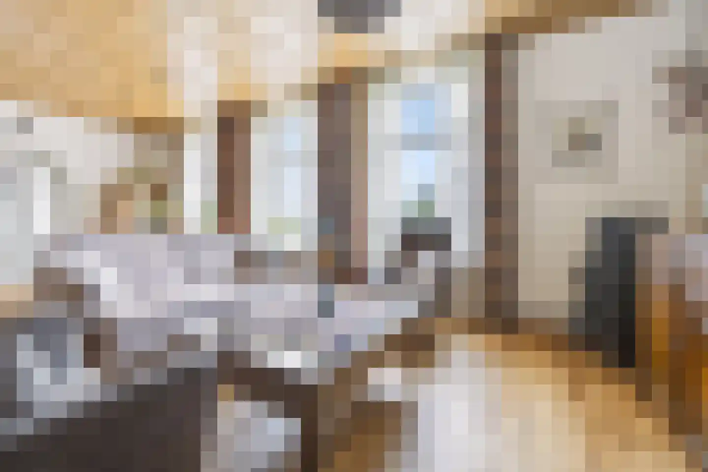 Rijksweg 20 Bergen L thumbnail 15