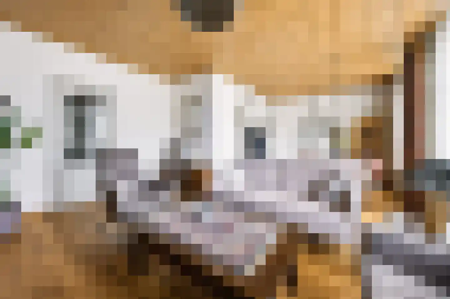Rijksweg 20 Bergen L thumbnail 16