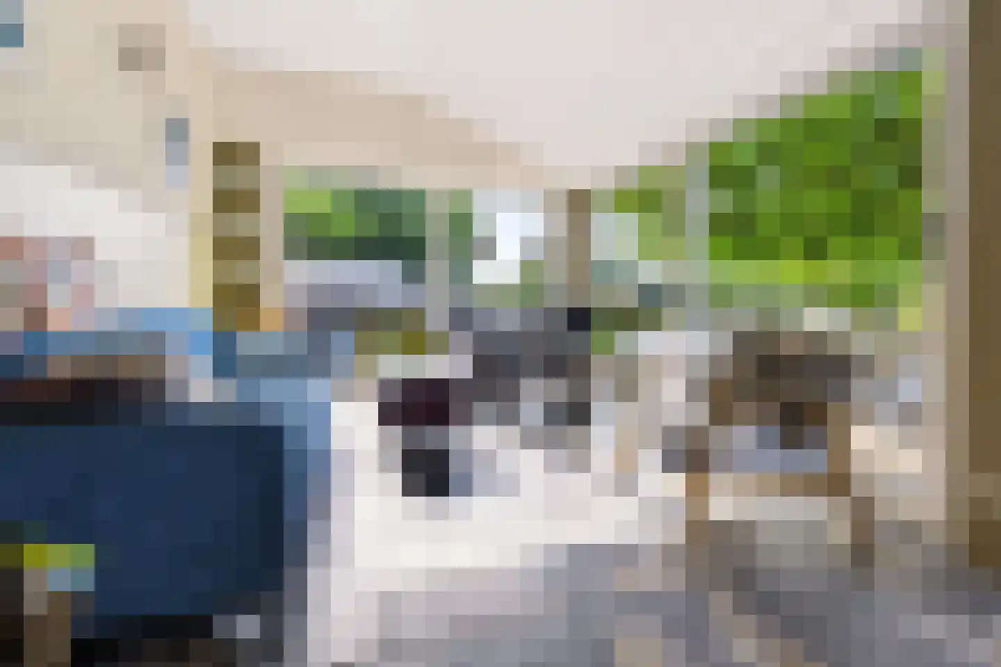 Rijksweg 20 Bergen L thumbnail 20