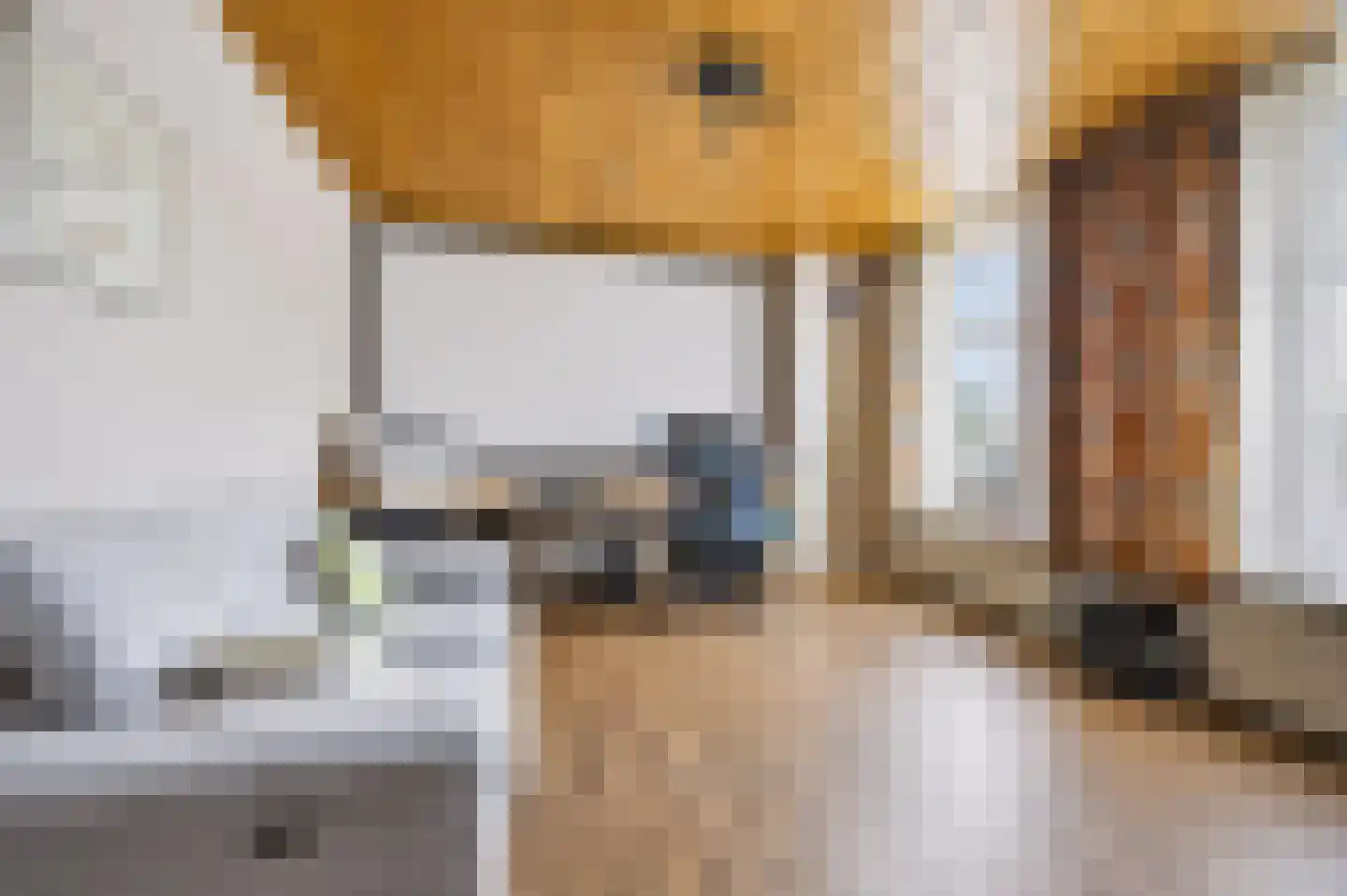 Rijksweg 20 Bergen L thumbnail 29