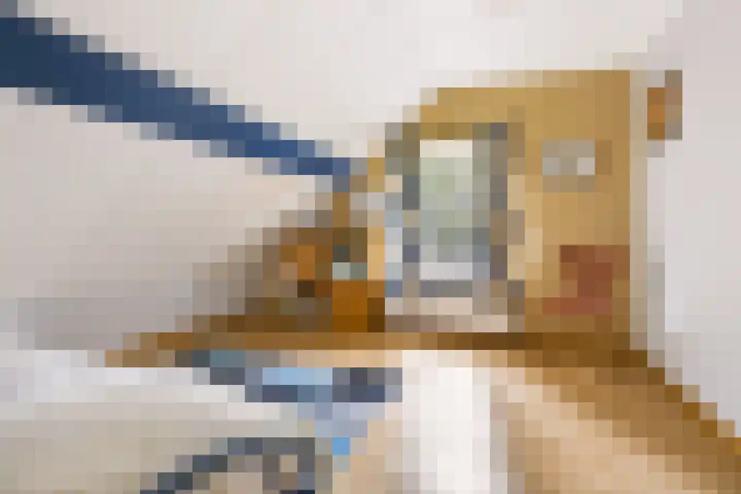 Rijksweg 20 Bergen L thumbnail 38
