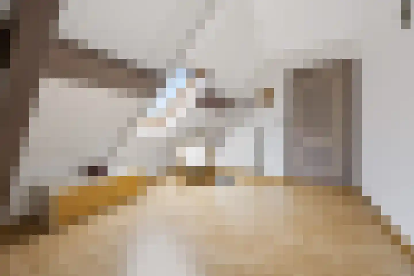 Rijksweg 20 Bergen L thumbnail 42