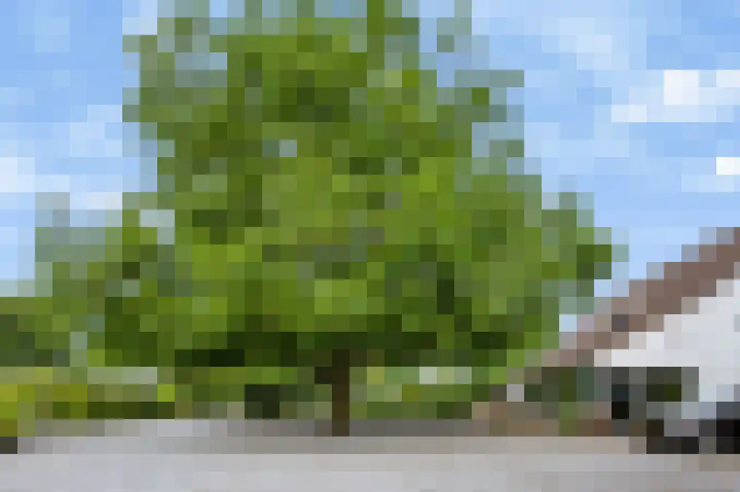Rijksweg 20 Bergen L thumbnail 47