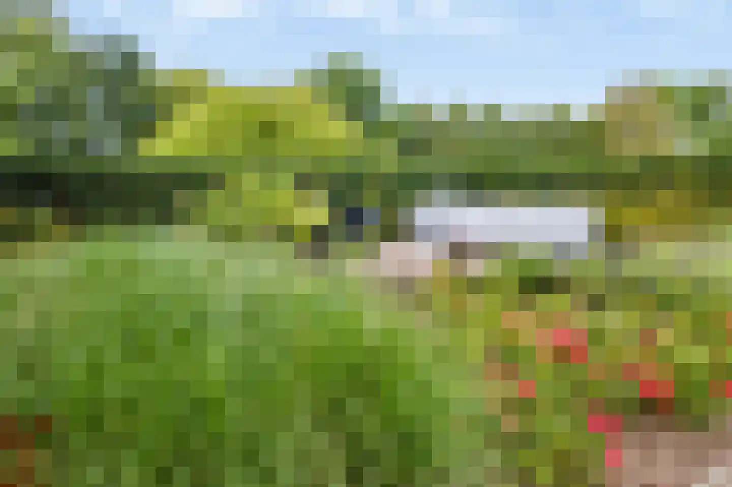 Rijksweg 20 Bergen L thumbnail 52