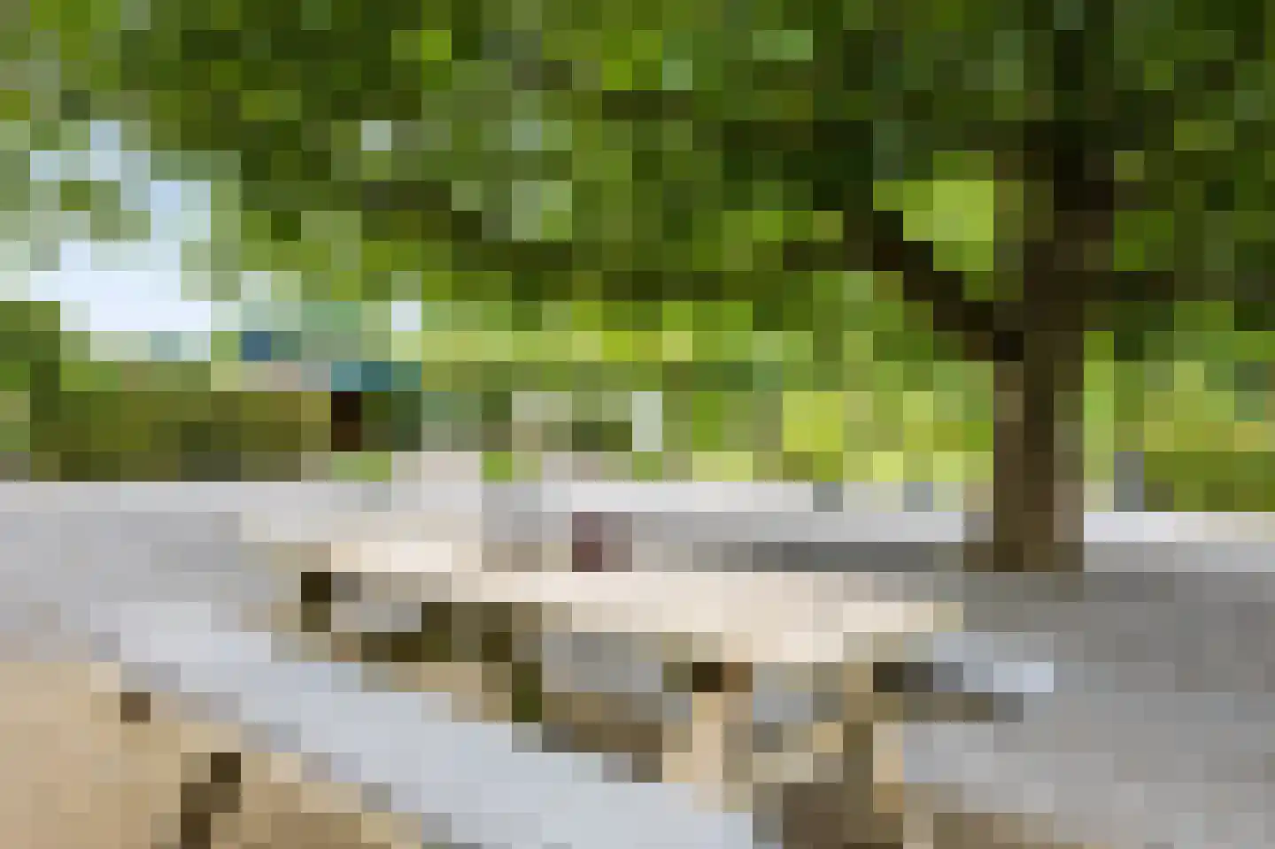 Rijksweg 20 Bergen L thumbnail 53