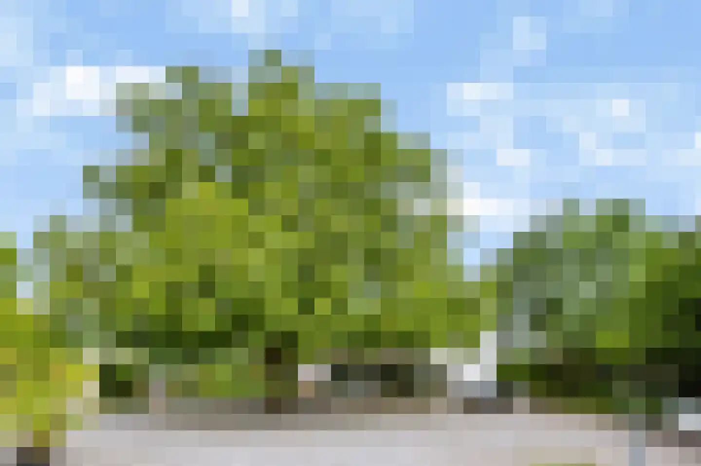 Rijksweg 20 Bergen L thumbnail 54