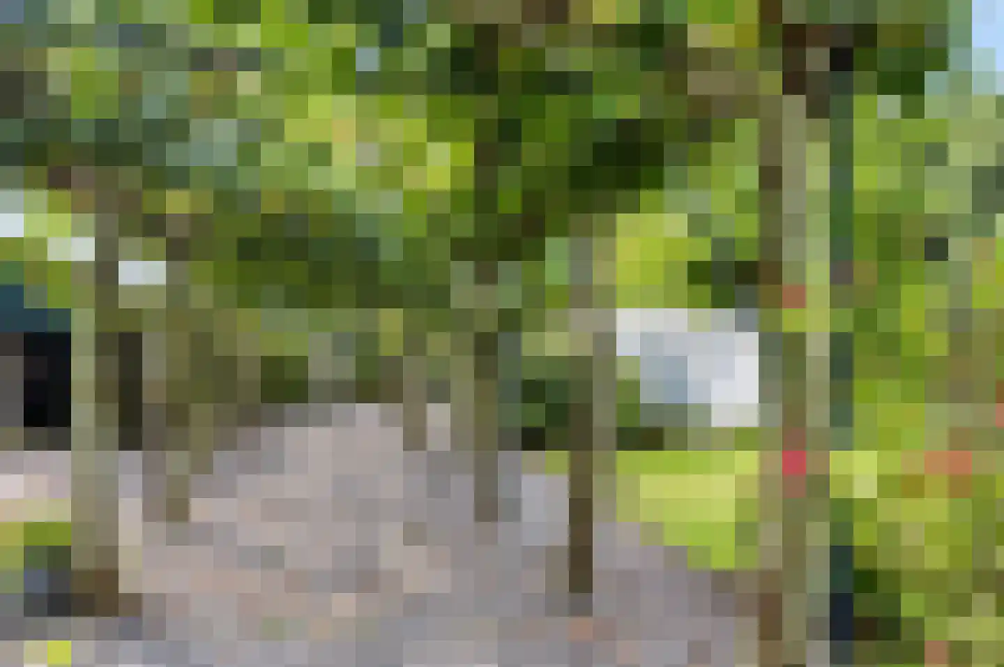 Rijksweg 20 Bergen L thumbnail 55