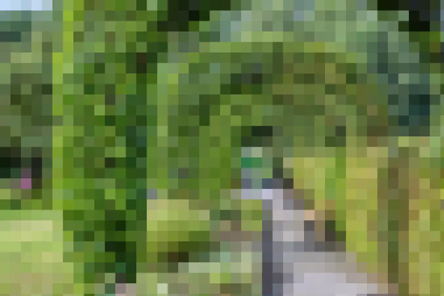 Rijksweg 20 Bergen L thumbnail 57