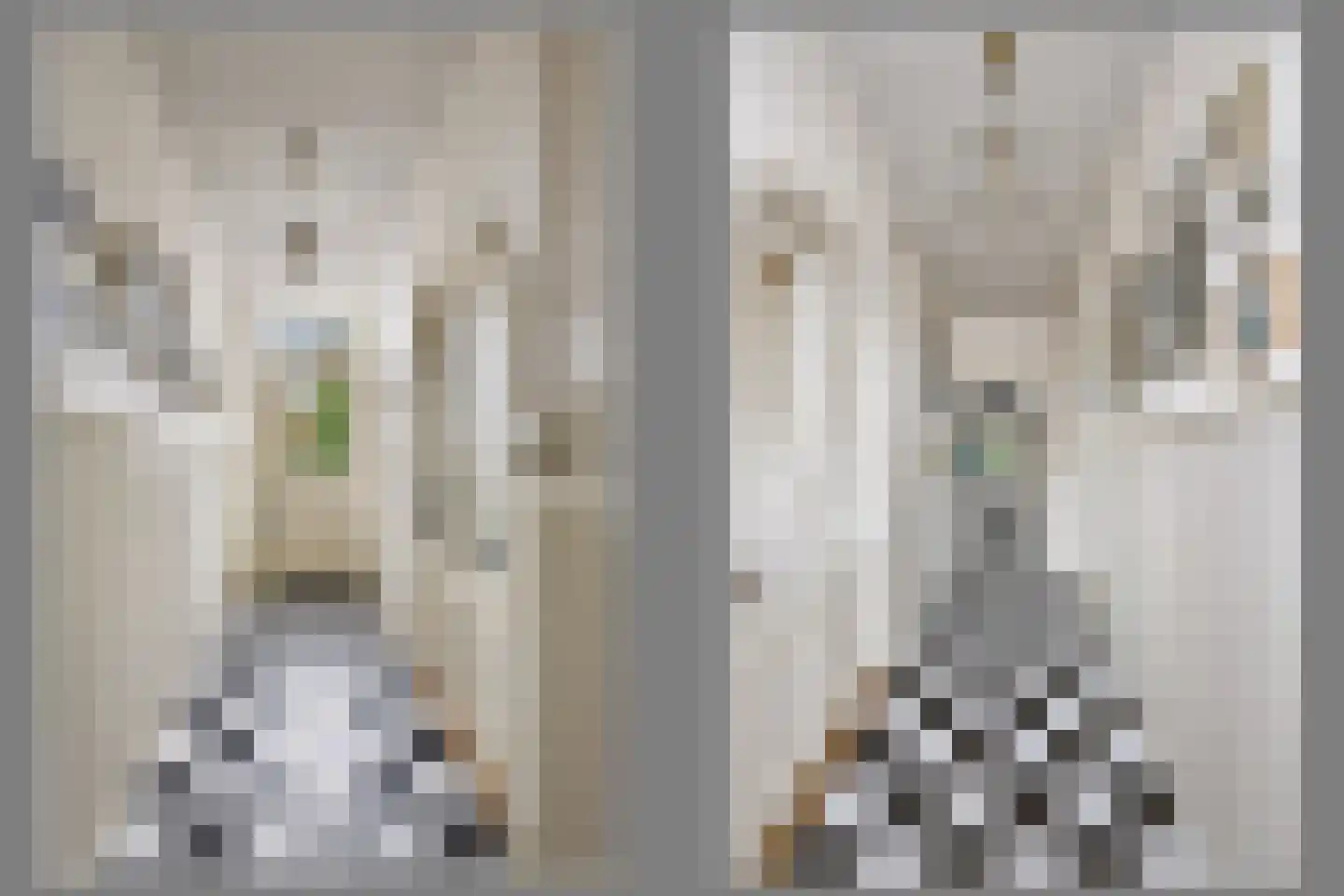 Rijksweg 20 Bergen L thumbnail 6