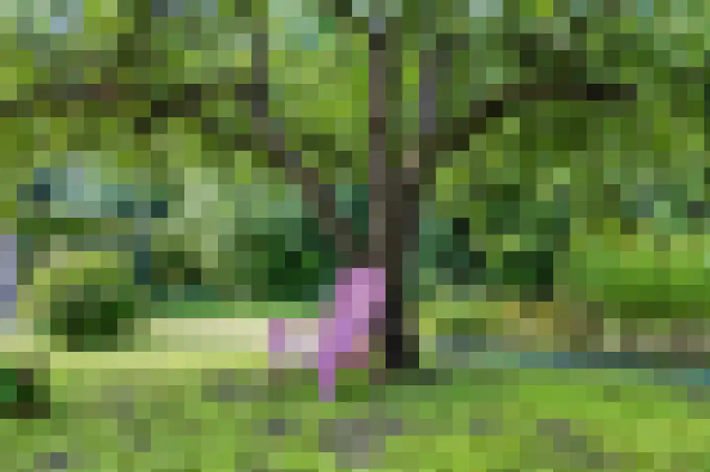 Rijksweg 20 Bergen L thumbnail 60