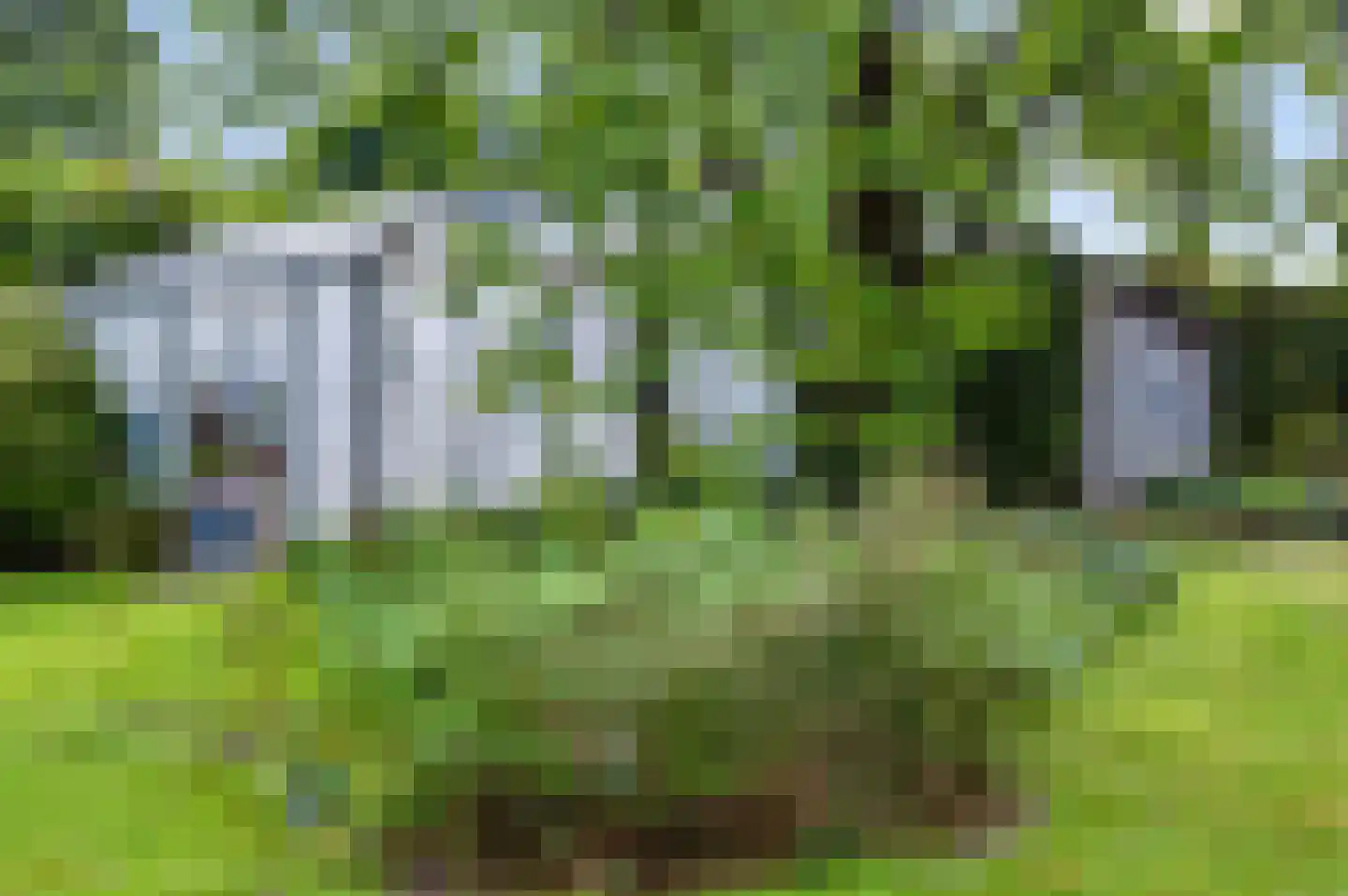 Rijksweg 20 Bergen L thumbnail 61