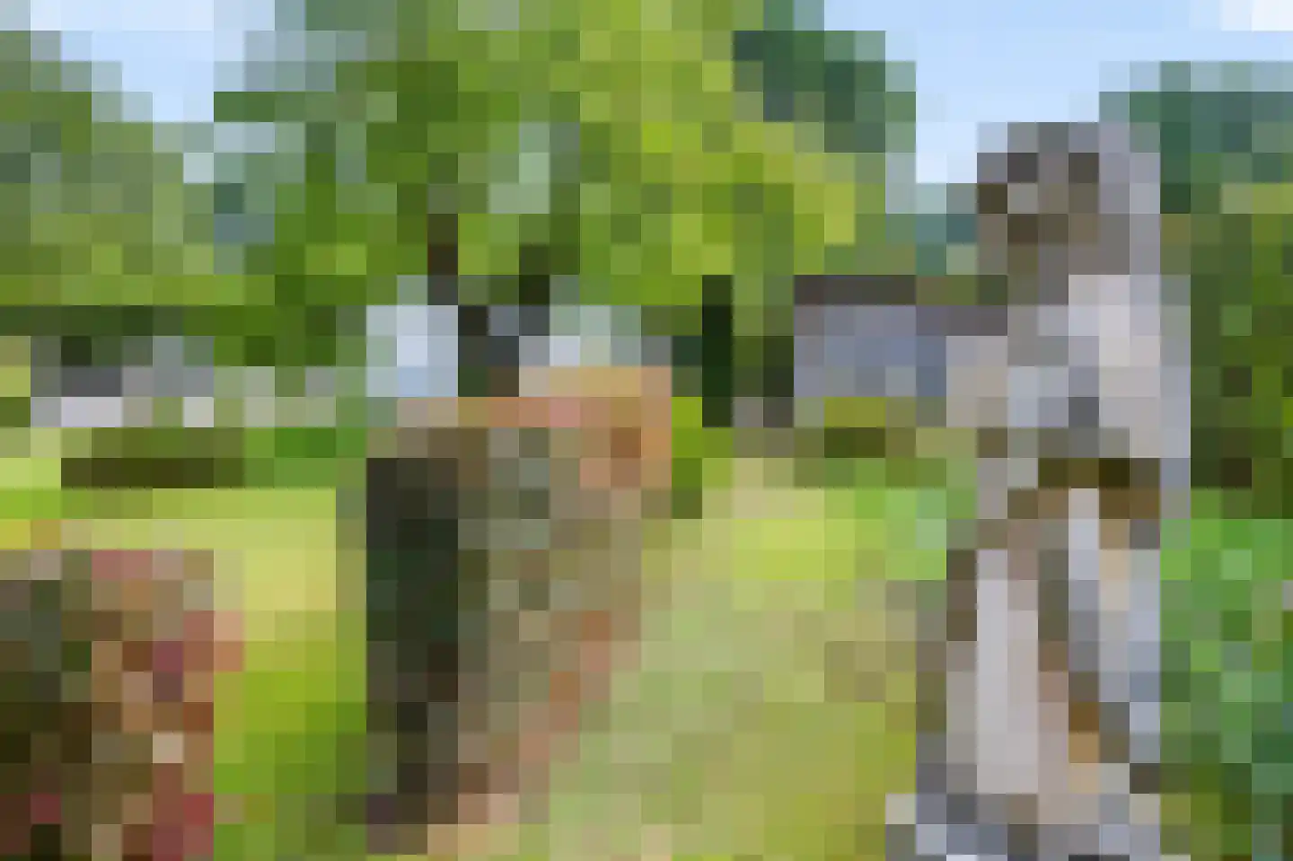 Rijksweg 20 Bergen L thumbnail 62