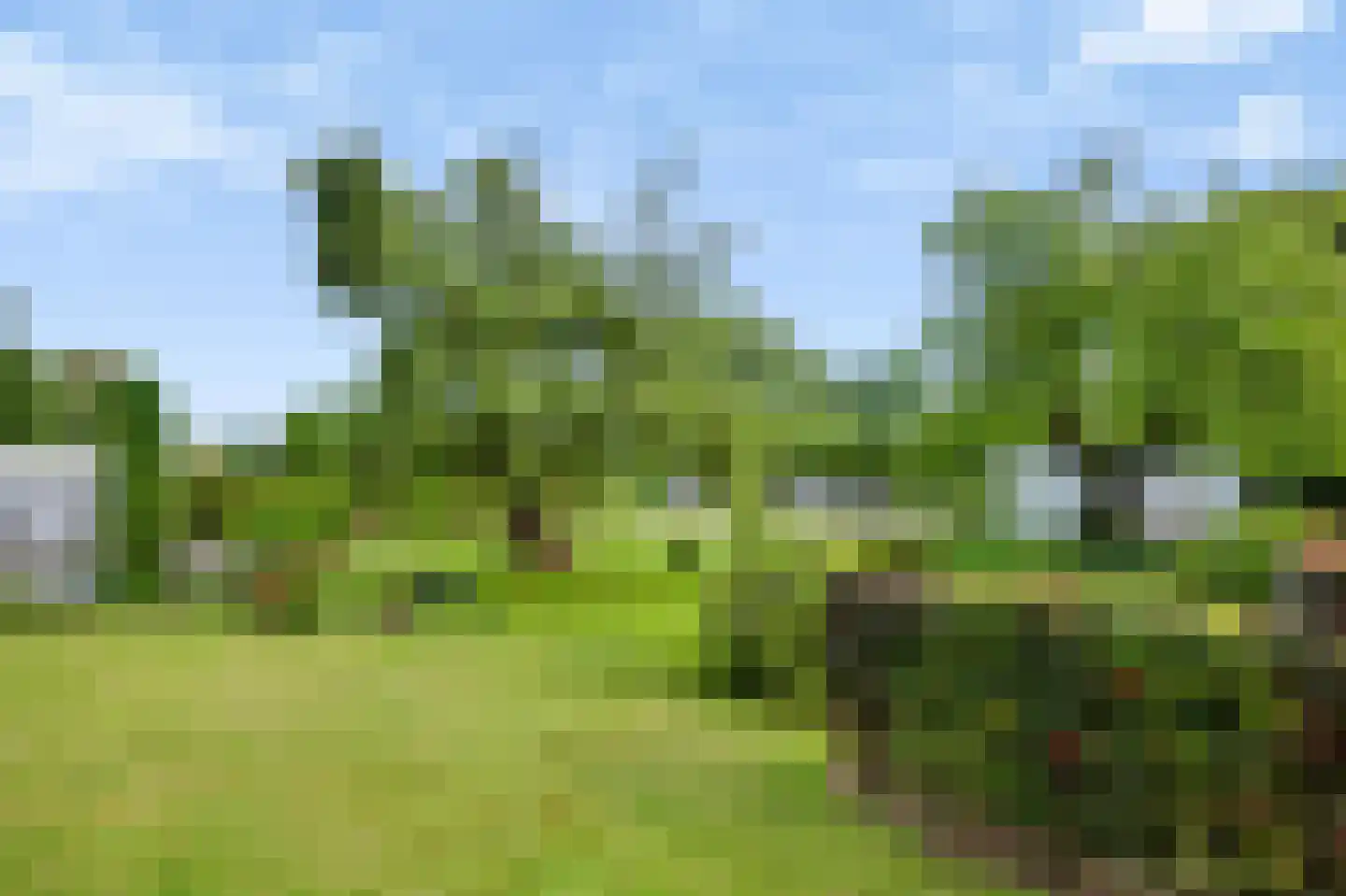 Rijksweg 20 Bergen L thumbnail 63