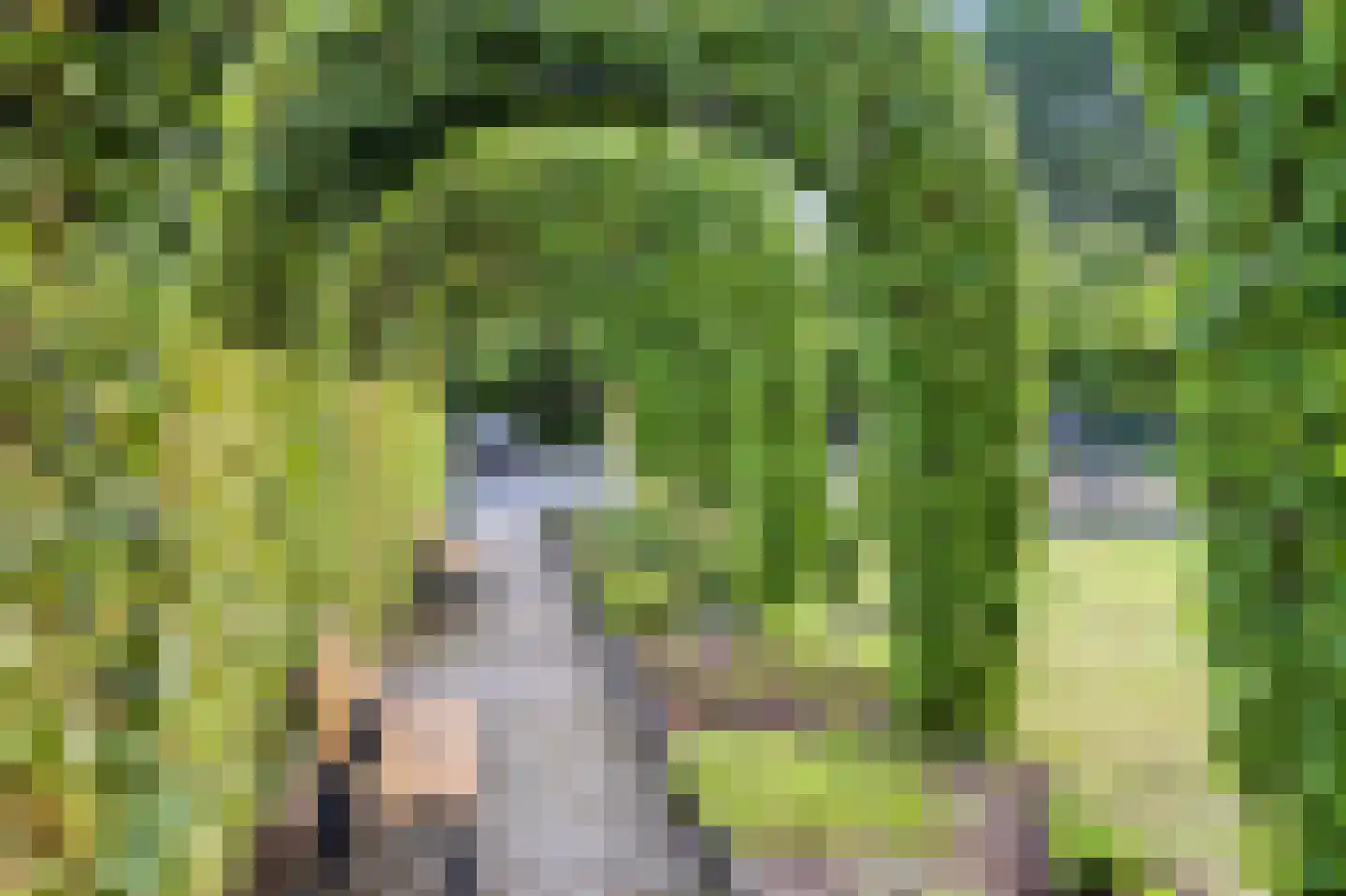 Rijksweg 20 Bergen L thumbnail 65