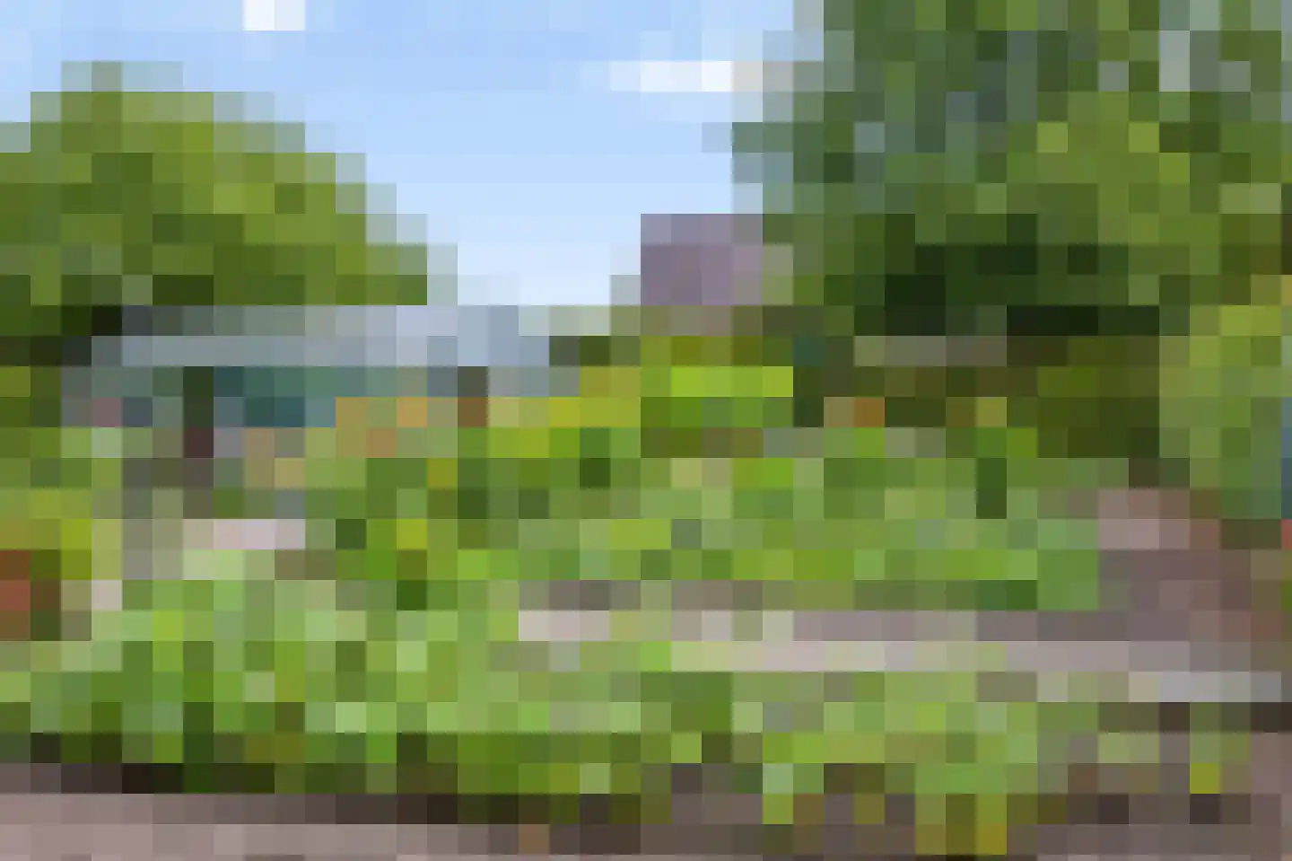 Rijksweg 20 Bergen L thumbnail 66