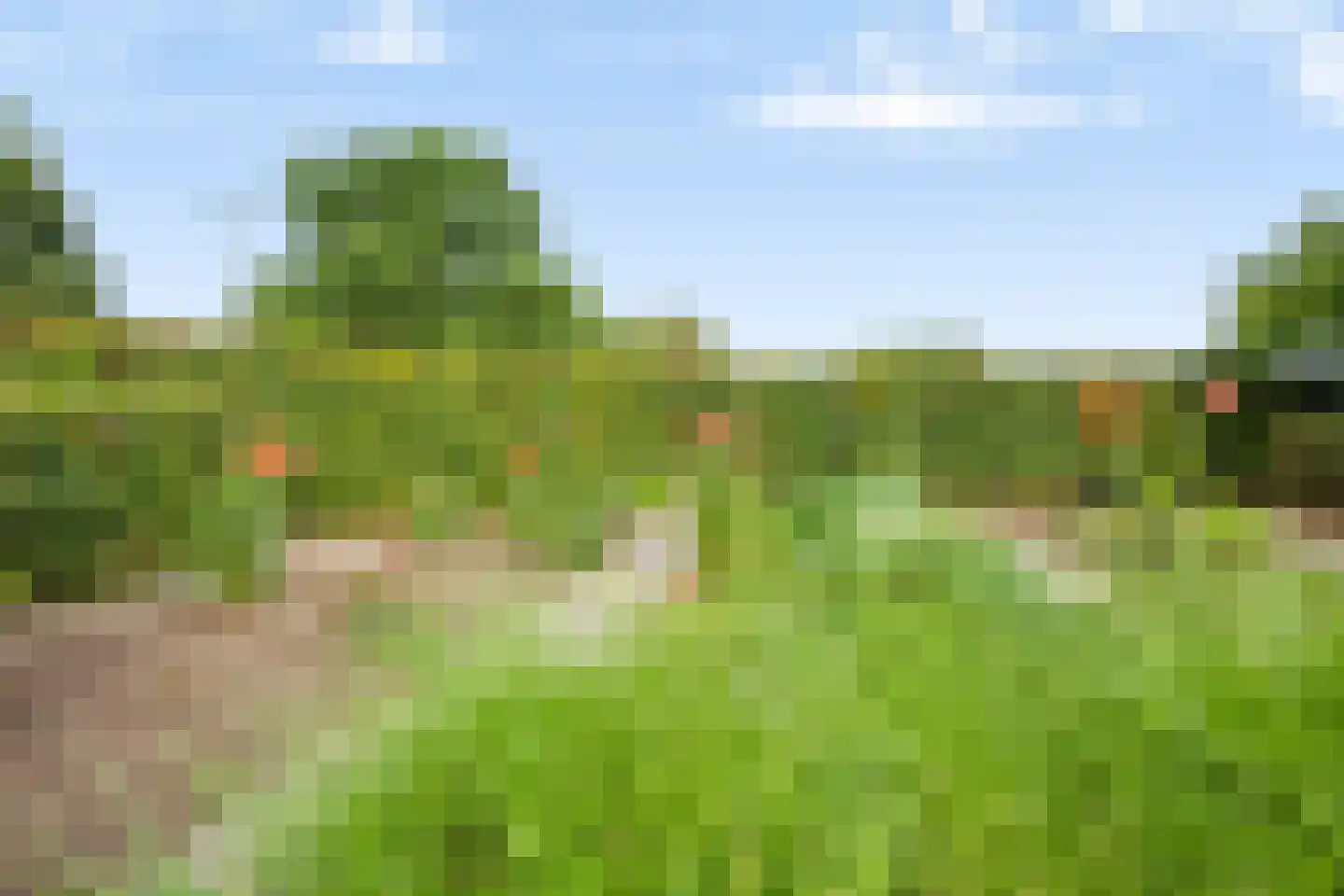 Rijksweg 20 Bergen L thumbnail 68