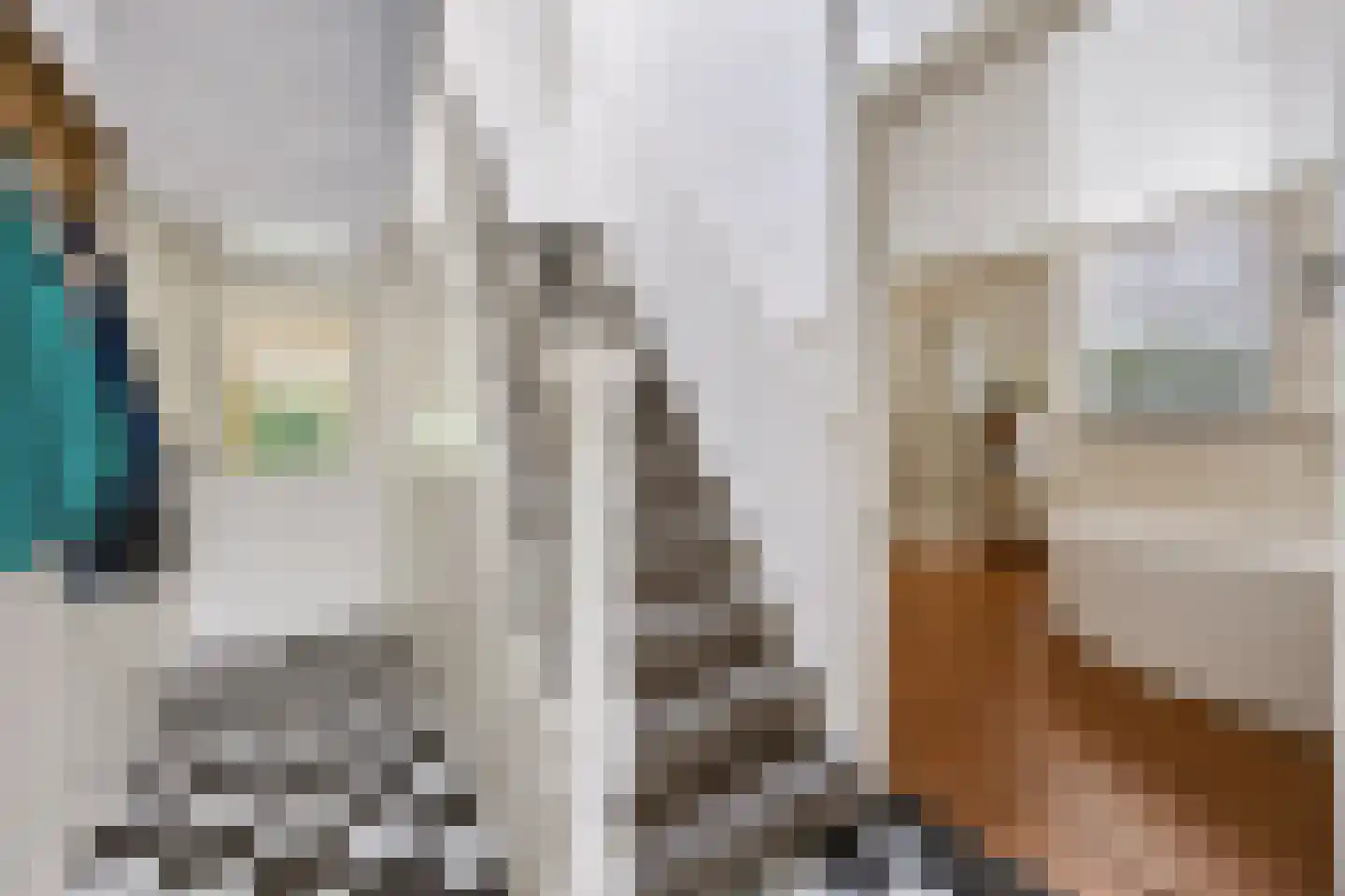Rijksweg 20 Bergen L thumbnail 7