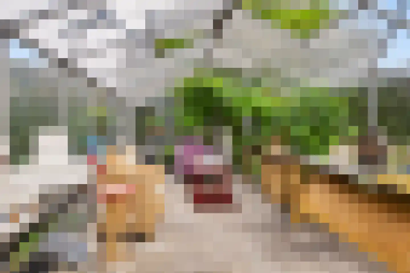 Rijksweg 20 Bergen L thumbnail 71