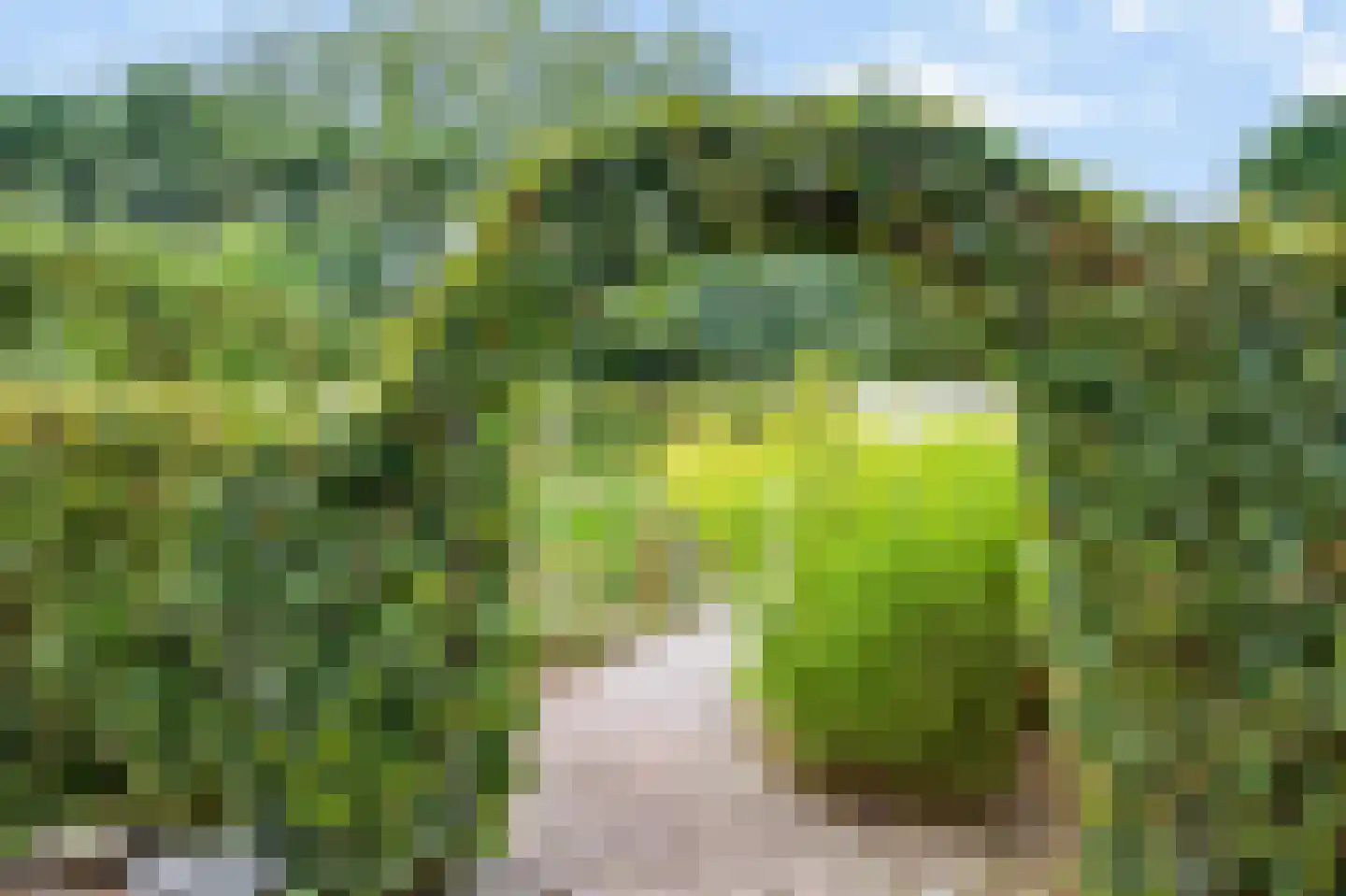 Rijksweg 20 Bergen L thumbnail 73