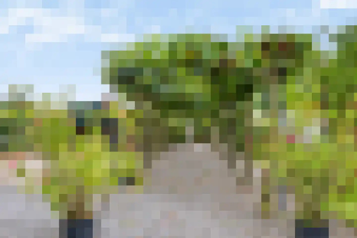 Rijksweg 20 Bergen L thumbnail 74