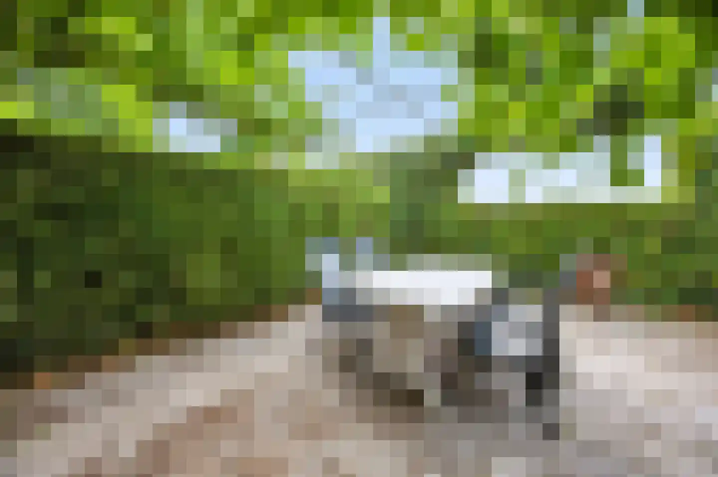 Rijksweg 20 Bergen L thumbnail 77