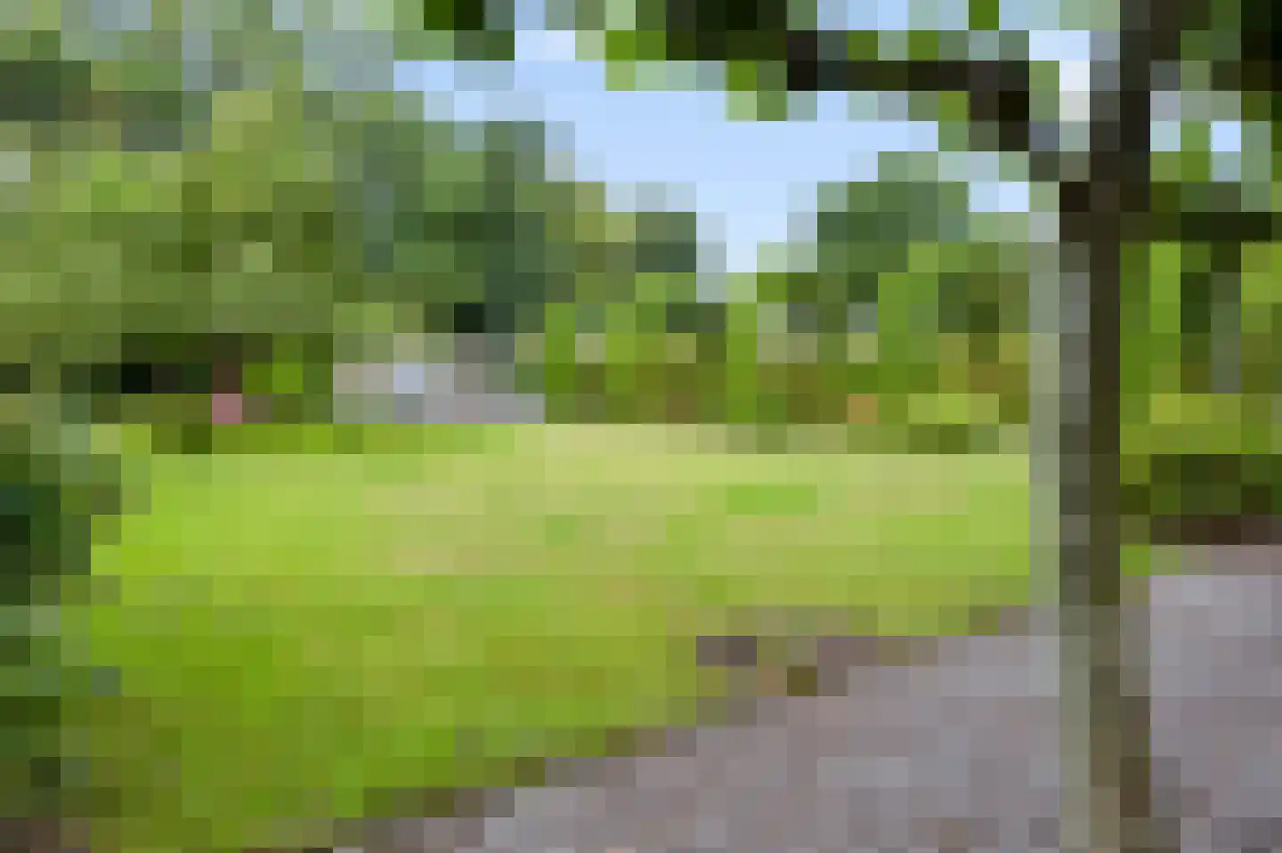 Rijksweg 20 Bergen L thumbnail 80