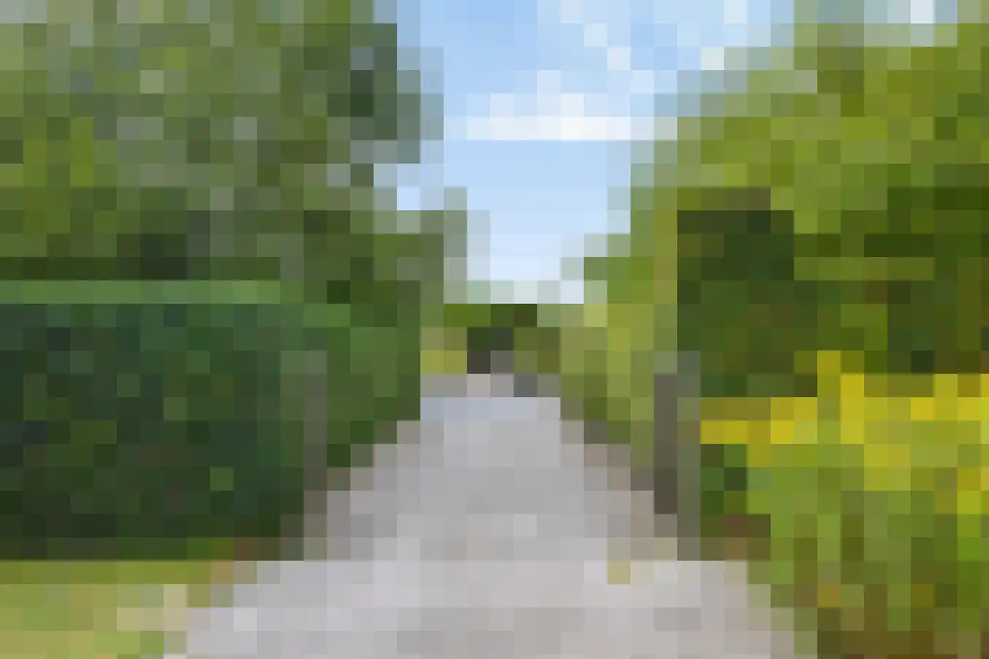 Rijksweg 20 Bergen L thumbnail 83