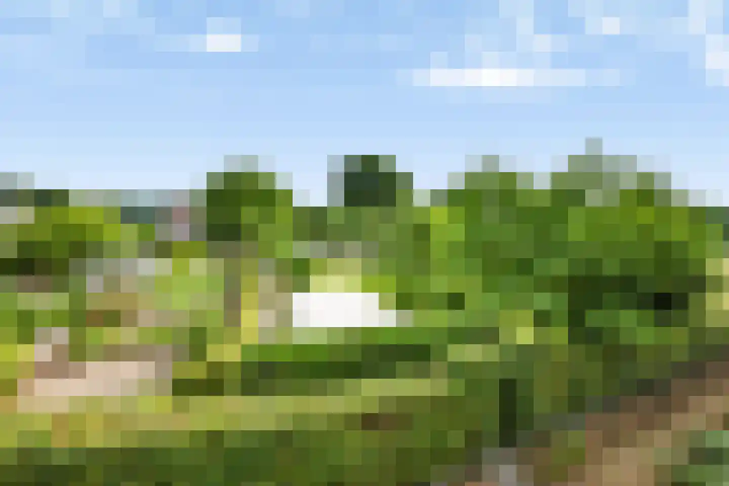 Rijksweg 20 Bergen L thumbnail 84