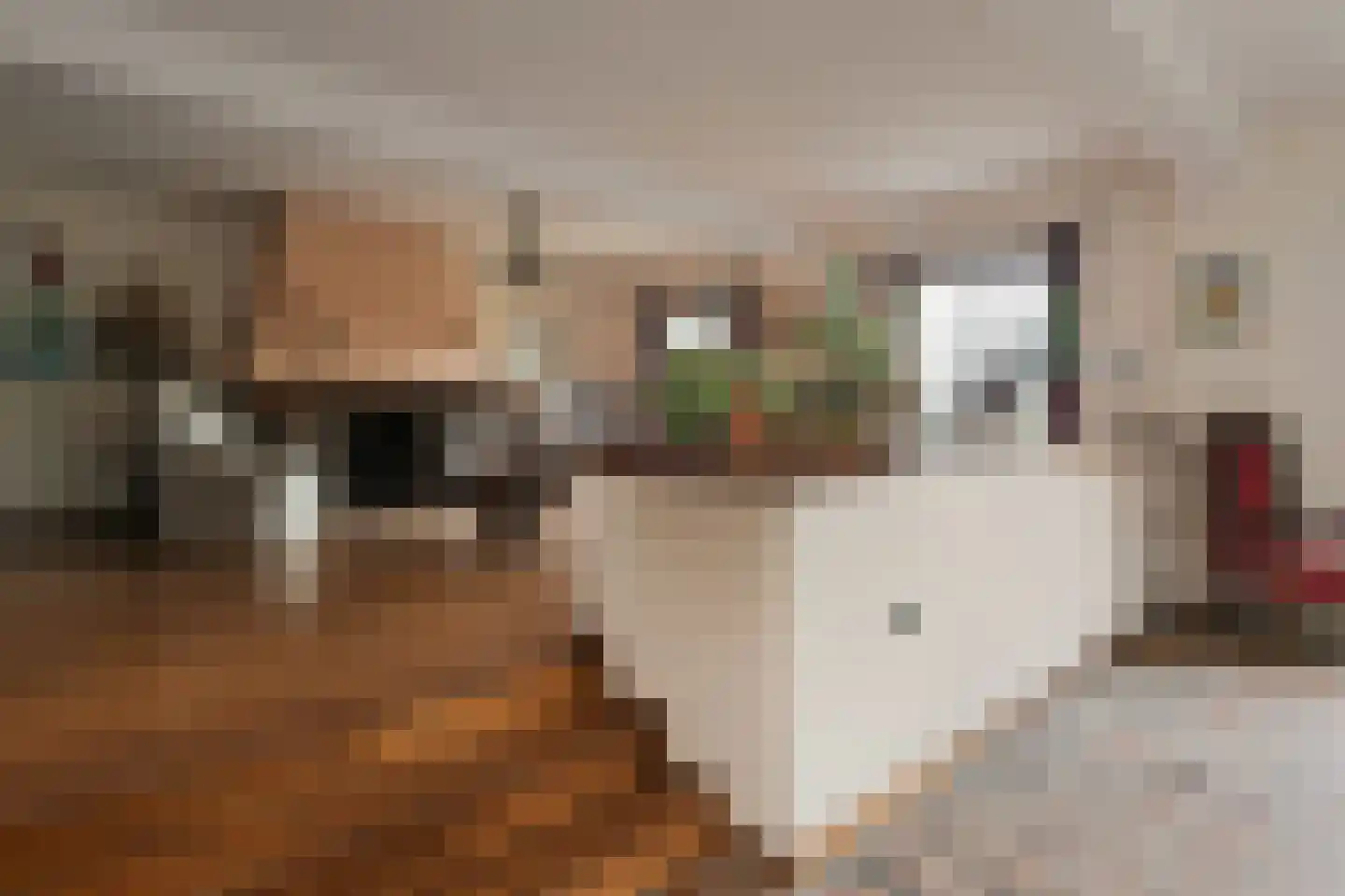 Rijksweg 20 Kessel thumbnail 10