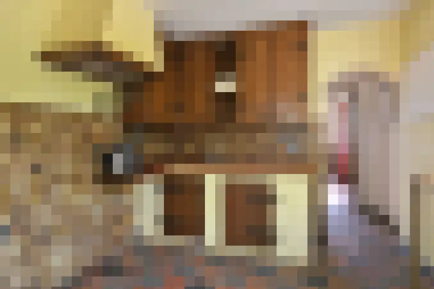 Rijksweg 20 Kessel thumbnail 16