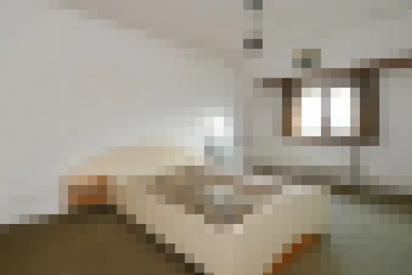 Rijksweg 20 Kessel thumbnail 32