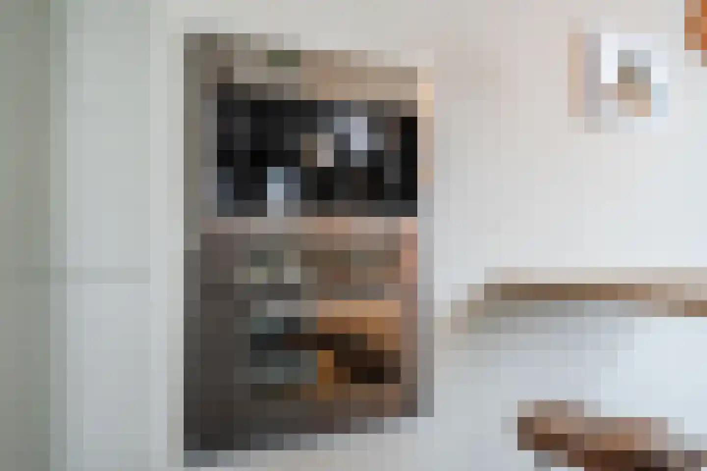 Rijksweg 20 Schoorl thumbnail 10