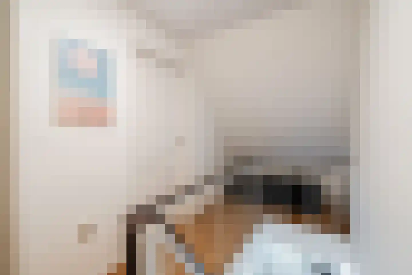Rijksweg 20 Schoorl thumbnail 14