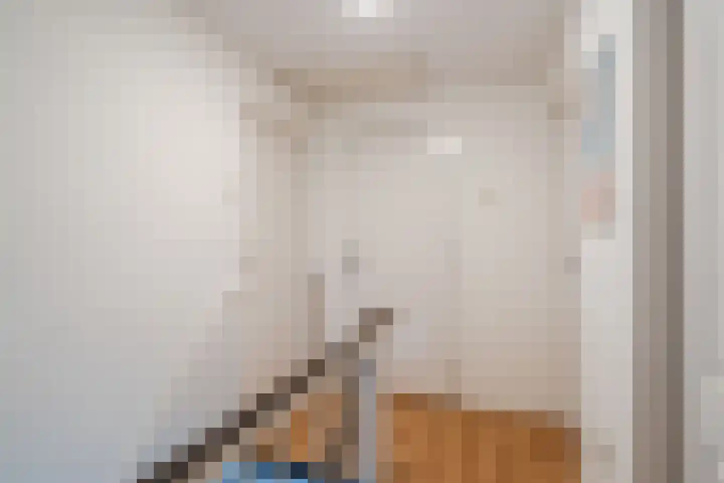 Rijksweg 20 Schoorl thumbnail 15