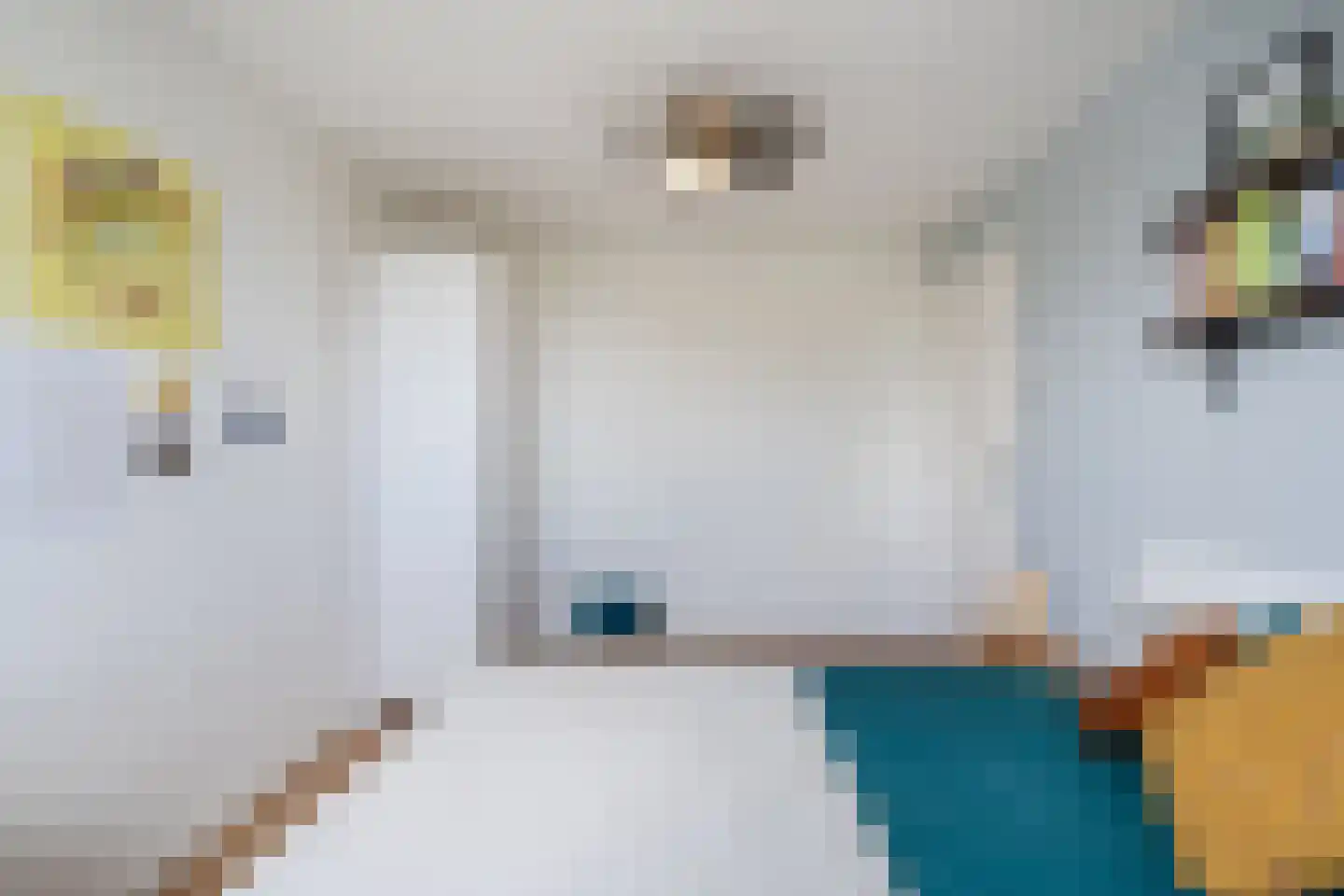 Rijksweg 20 Schoorl thumbnail 18