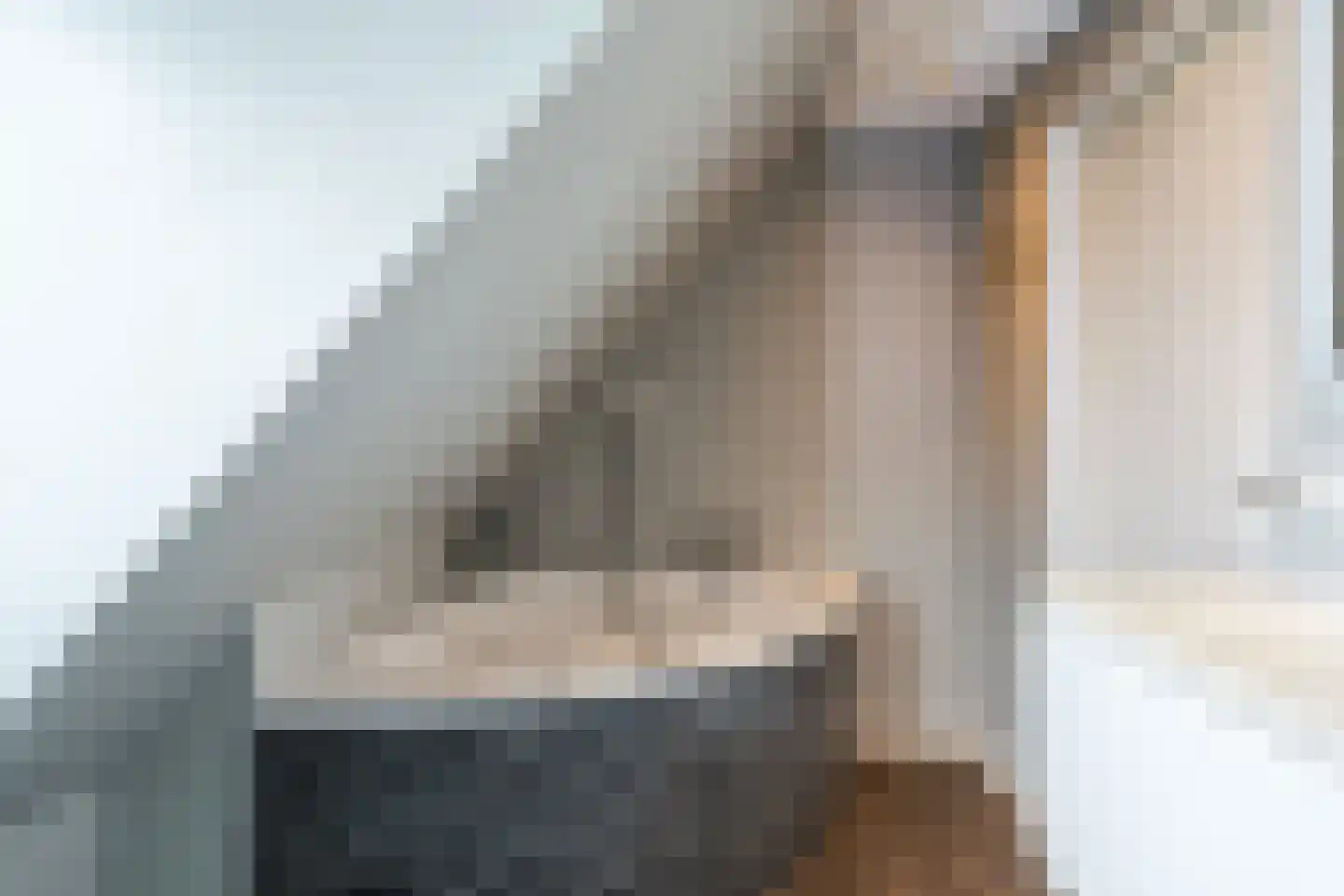 Rijksweg 20 Schoorl thumbnail 25