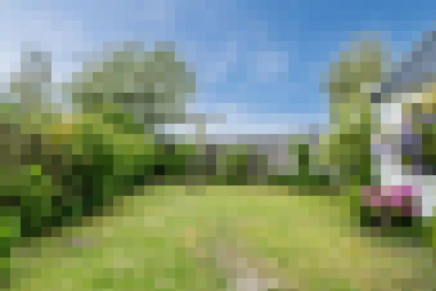 Rijksweg 20 Schoorl thumbnail 28