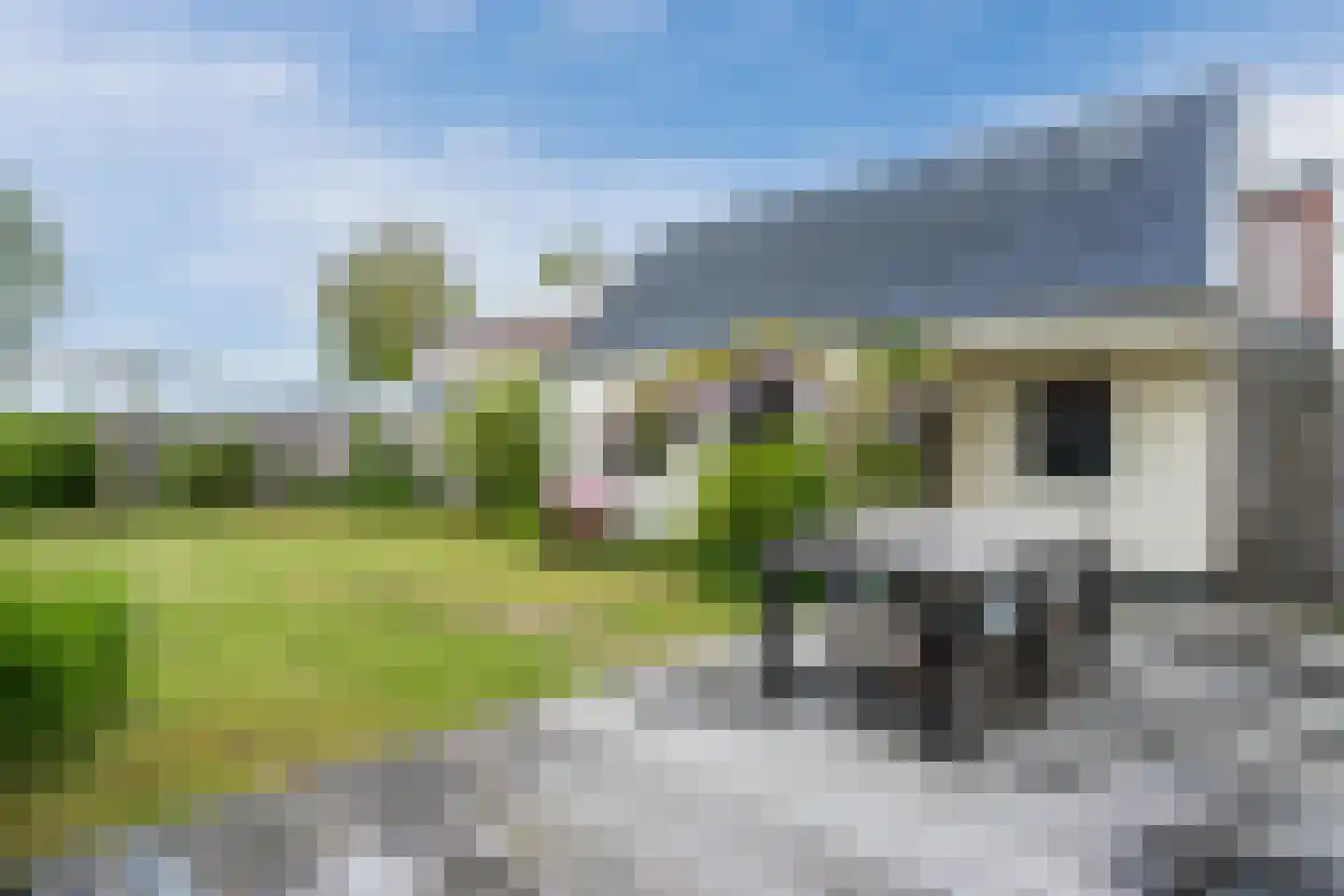 Rijksweg 20 Schoorl thumbnail 29