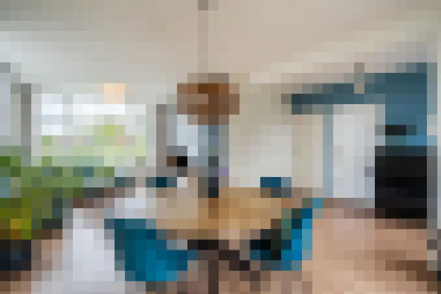 Rijksweg 20 Schoorl thumbnail 5