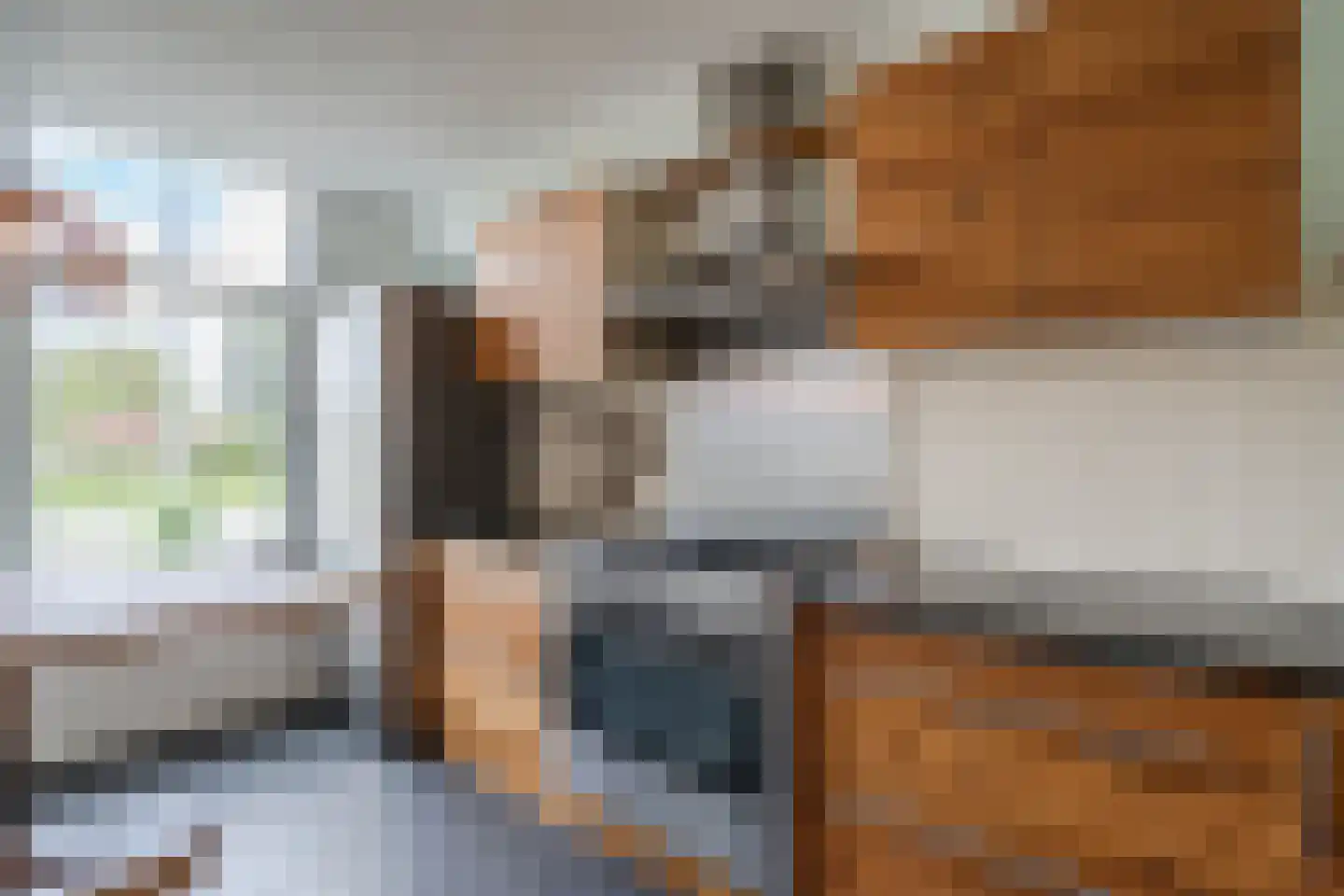 Rijksweg 20 Schoorl thumbnail 7