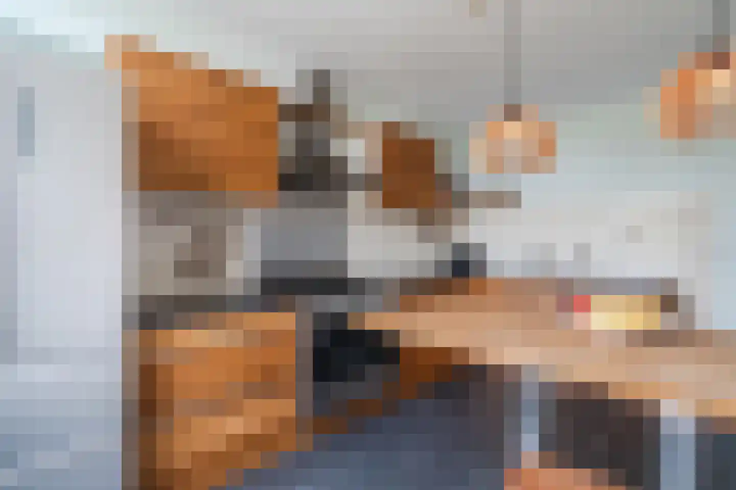 Rijksweg 20 Schoorl thumbnail 9