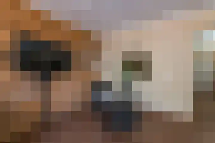Rijksweg 204 Gronsveld thumbnail 10